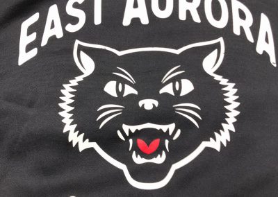 East Aurora HS Wrestling