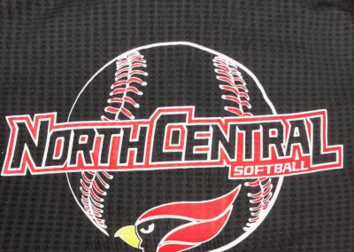 North Central College Softball