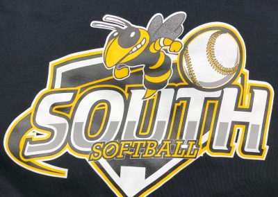 Hinsdale South H.S. Softball